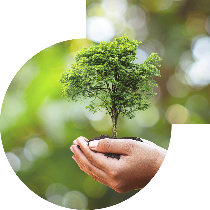 关怀人类、文化、环境与社会